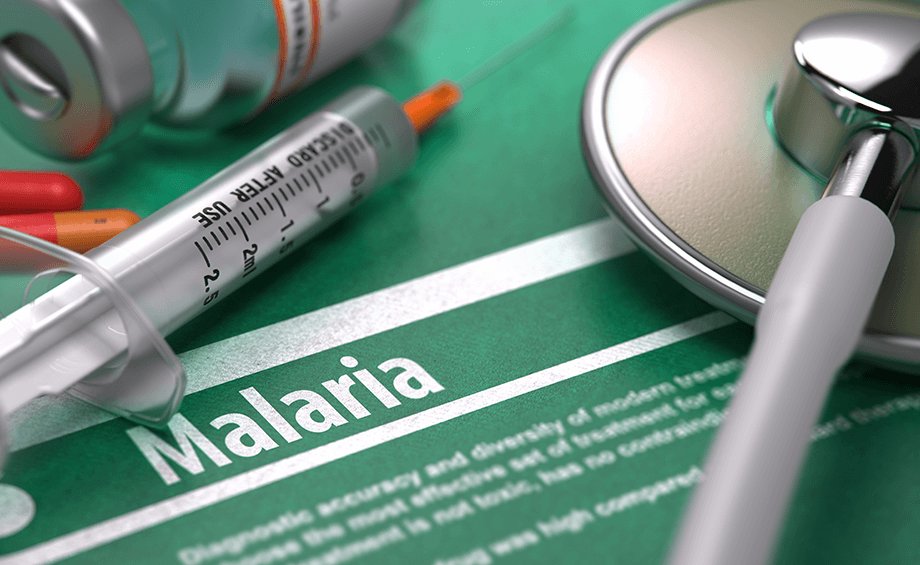 What is Malaria: Everything you need to Know about it