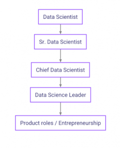 data scientist career path