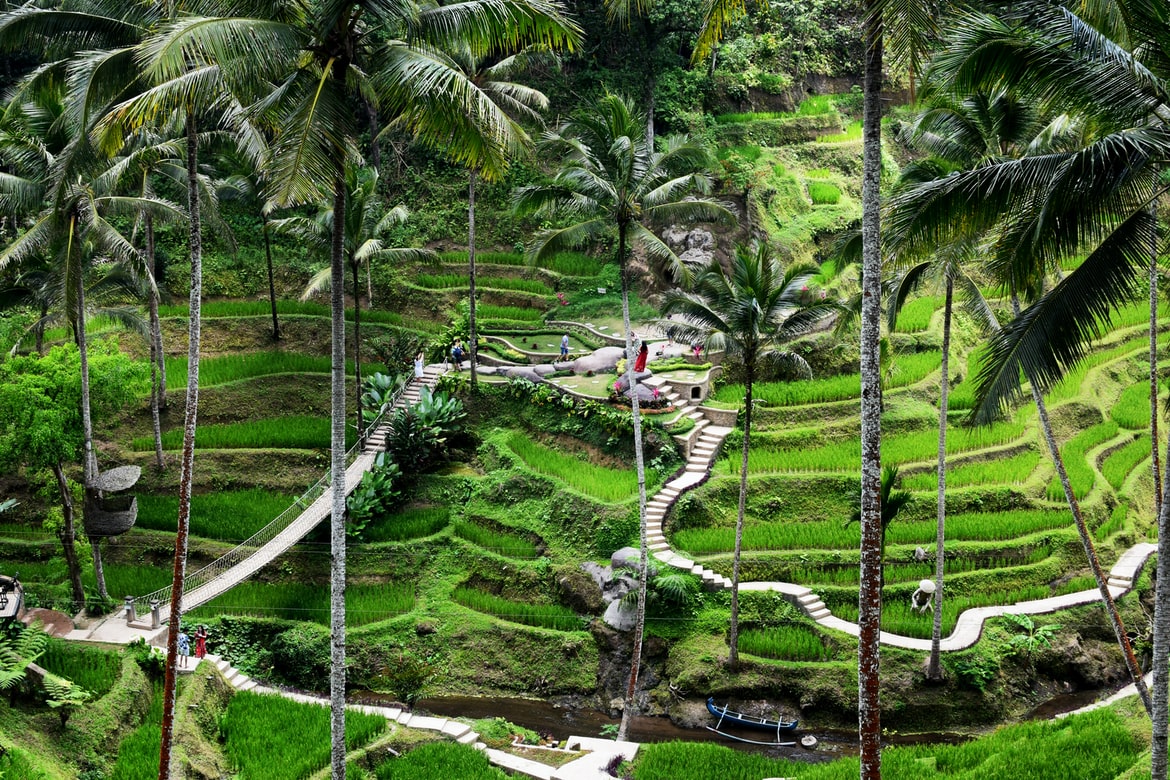 10 Must Visit Attractions in Ubud, Bali That Are Drop Dead Gorgeous