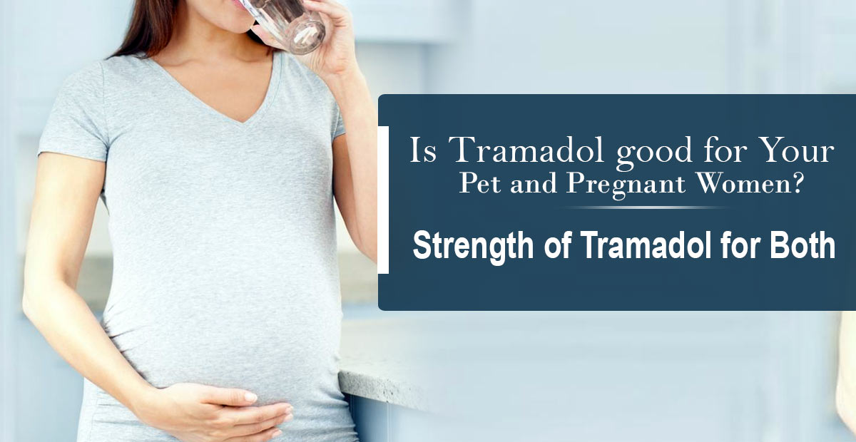 Tramadol During Pregnancy
