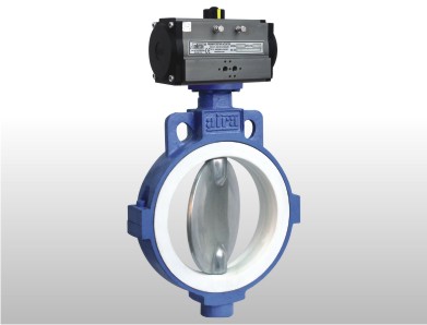 Butterfly Valve