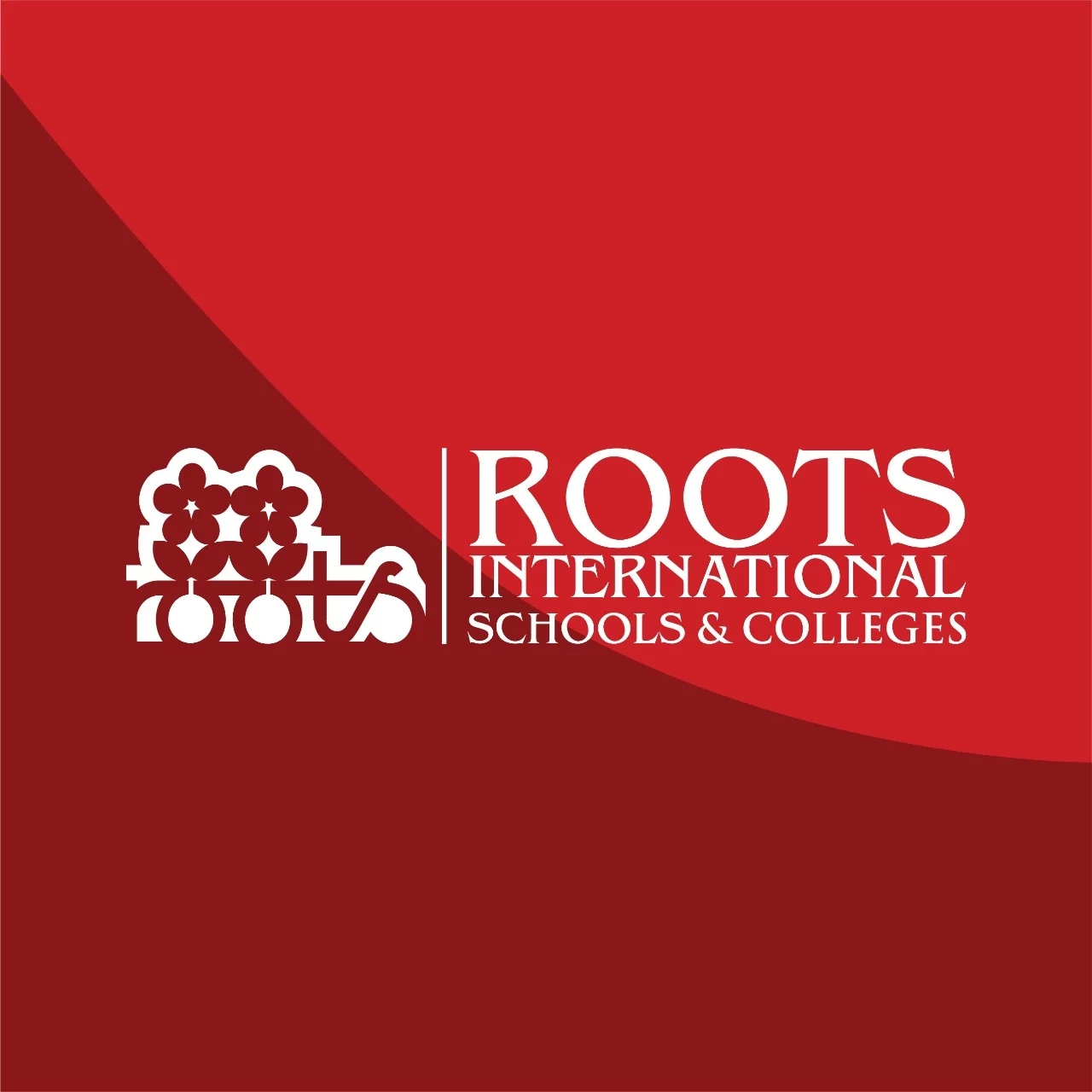 Roots International Schools – Focus on Social Entrepreneurship, Students Achievement, and Opportunity and Discovery