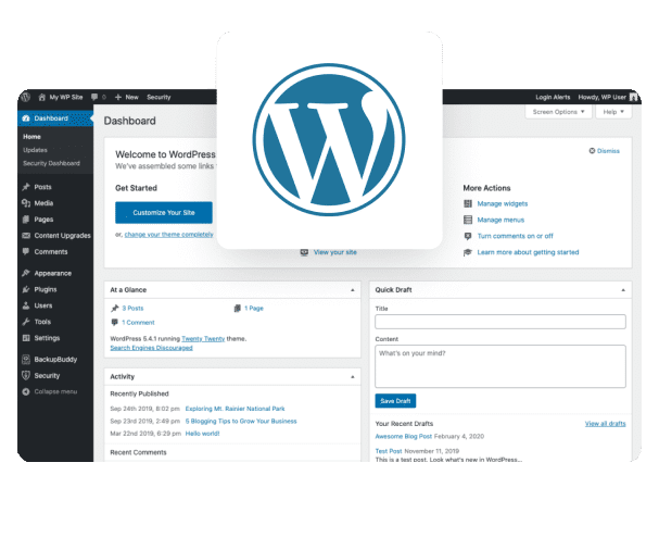 What You Should Know About Custom WordPress Development