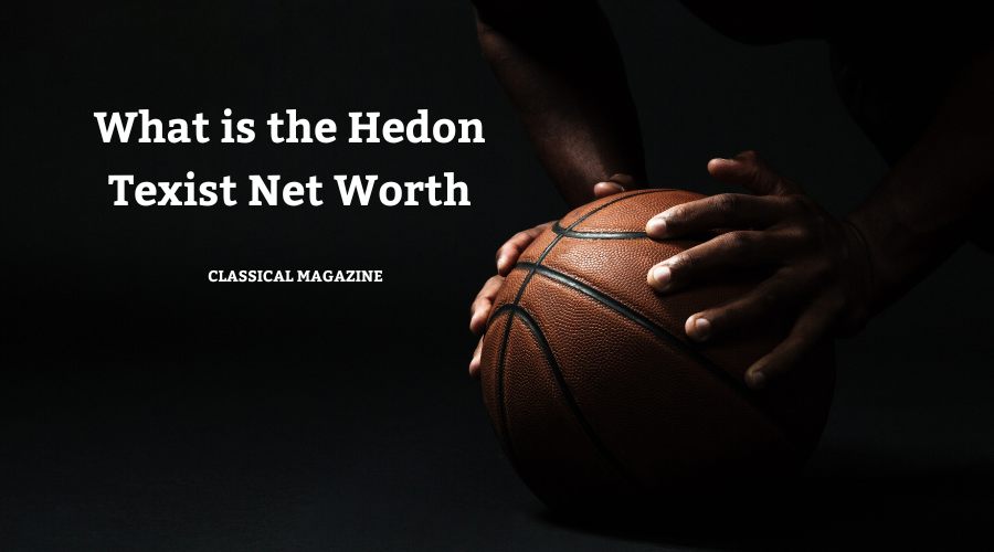Hedon Texist Net Worth