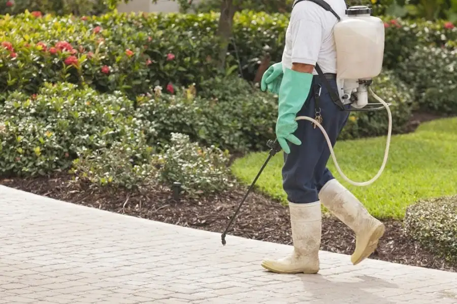 Is it worth spending on pest control? Find here!